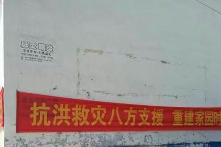 为国分忧什么意思