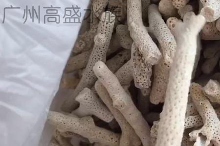 珊瑚骨用什么可以粘起来