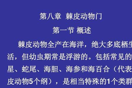 棘皮动物特有的结构