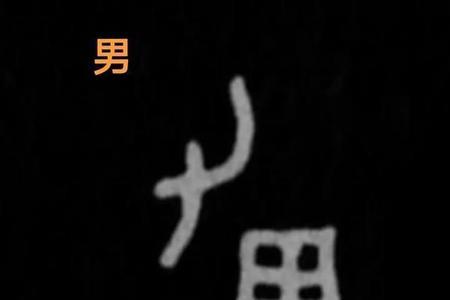 男加男是什么字