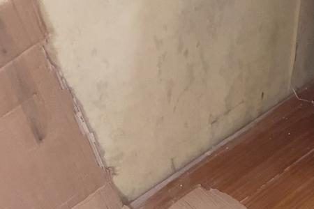 流浪猫跑进家里需要消毒吗