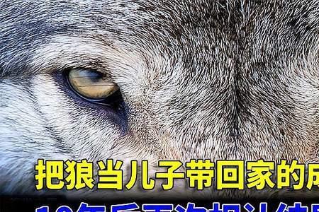 亲爱的妈妈小鹏结局