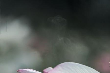 烟雨如花的意思