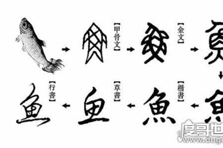 搬字的甲骨文演变过程