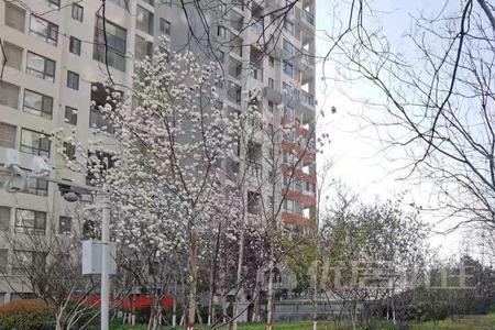 郑州怡丰新都汇哪个区