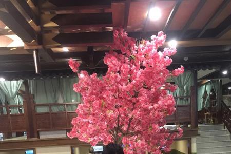 汤圣瑶池温泉门票包含什么
