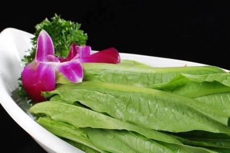 小白菜和油麦菜区别
