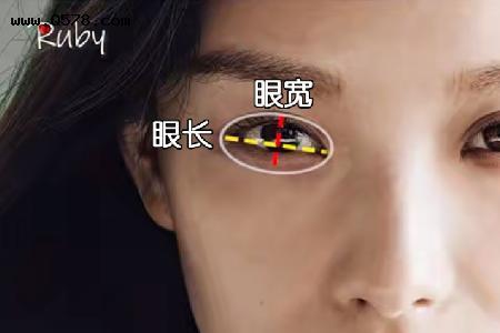 圆眼窄眼怎么区分
