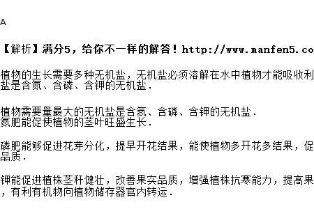 藤在生长过程中无机盐含什么