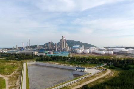 古雷石化为什么待遇高