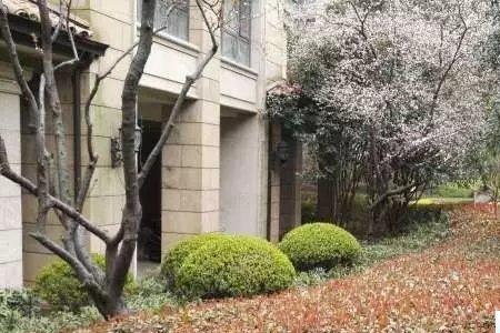 济南绿城物业怎么样