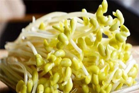 如何生绿豆芽简便方法
