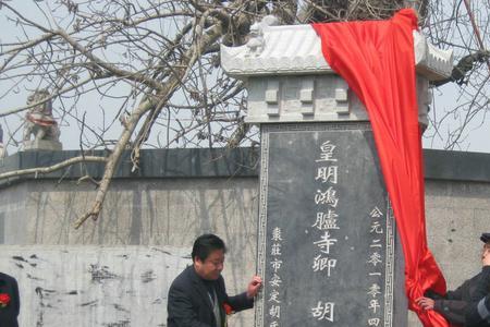 山东胡氏祖籍是哪里