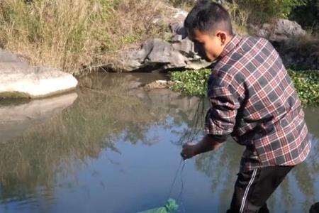 野河走水怎么放地笼