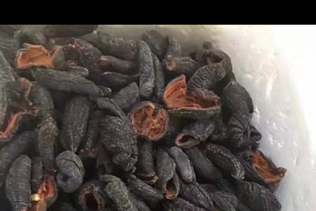 干海茄子要怎么处理才能吃