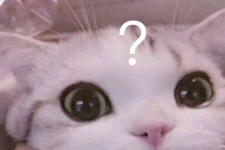 两个猫头表情是啥意思
