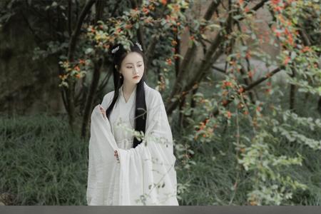 古代琴师的外貌描写
