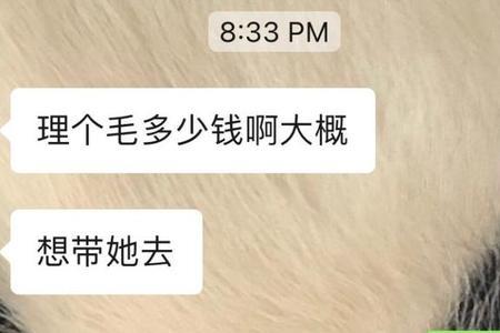 极其敷衍是什么意思