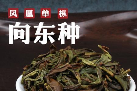 单枞春茶一般什么时间上市