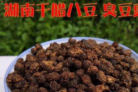 四川臭豆豉坨发酵时间