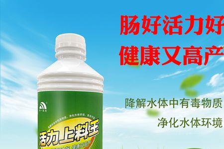 好活力是什么意思