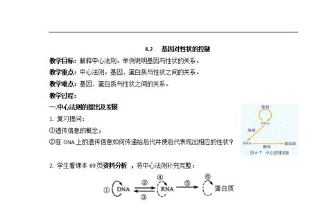 初中生物基因组成讲解