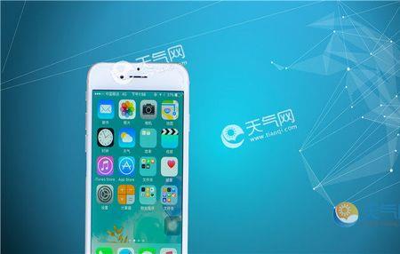 绿泡群是什么意思