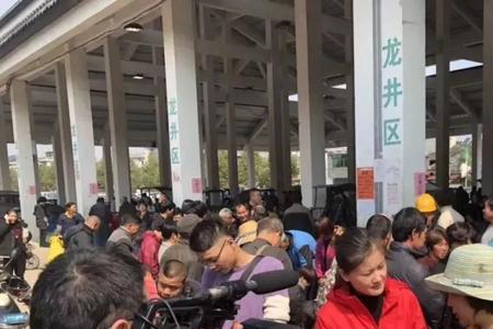 松阳茶叶直播可信吗