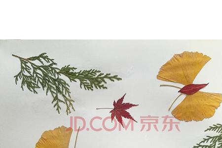 幼儿园树叶手工衣服简单又好看