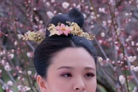 杨淑妃杨妃有女儿吗