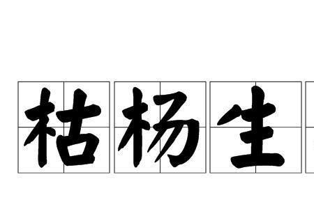 杨和高组成成语