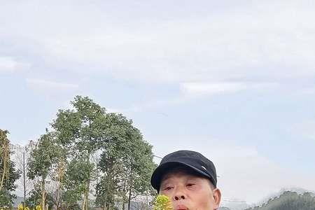 春天的使节是什么意思