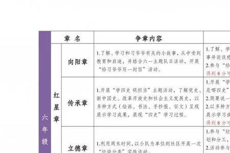 红领巾奖章登记表怎么填写
