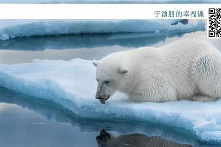 自省方能自明的意思