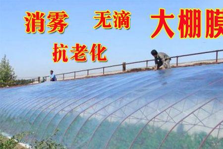 大棚膜是白膜好还是蓝膜好