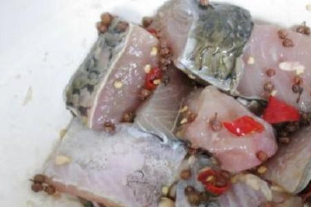 淹鱼为什么用白酒