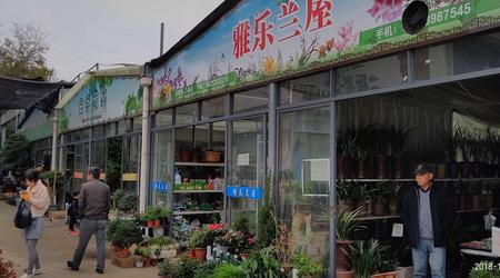 南京花鸟市场一览表