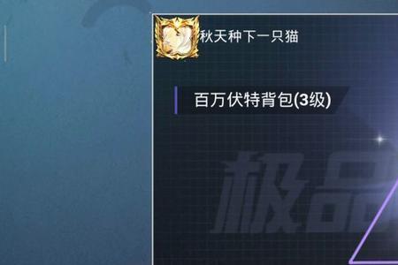 和平精英寒光使者入手亏吗