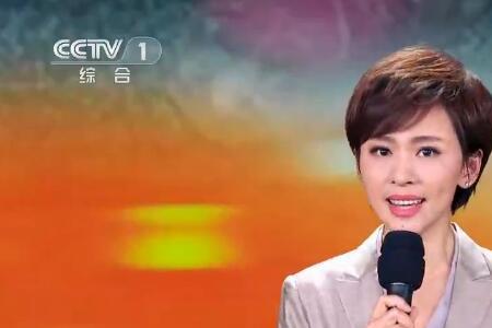 女生唱你的样子这首什么意思