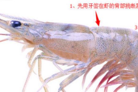 罗氏虾怎么洗干净