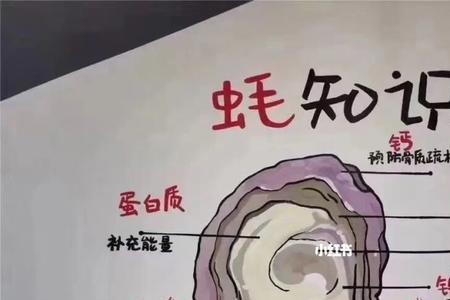 小小的生蚝用普通话叫什么