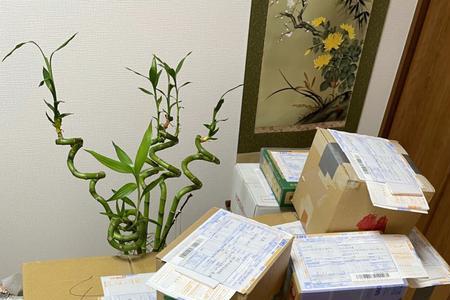 代购清关是啥意思