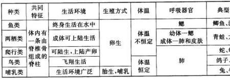 双性人可以无性繁殖么