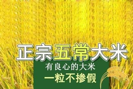 大米1356和1354区别