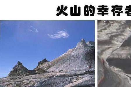 动物大联盟熔岩碳哪里爆的多