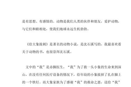 骑大象的小偷读后感
