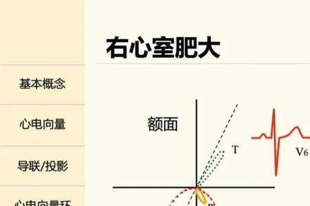 沿着水平方向横切是什么意思