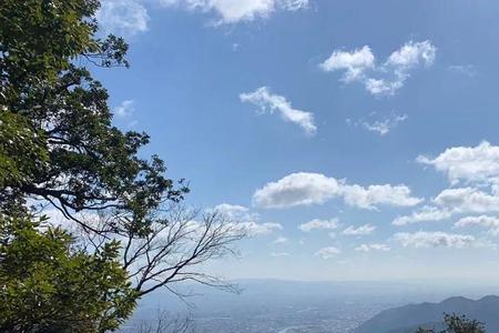 登高是描写哪座山