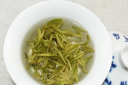 金花白茶怎么泡才正确