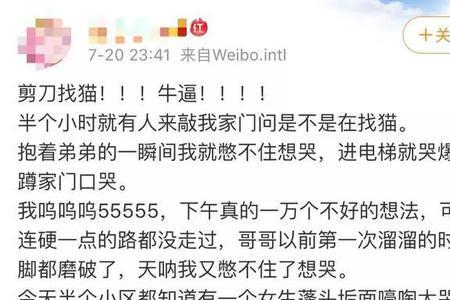 剪刀法找猫对人有害吗